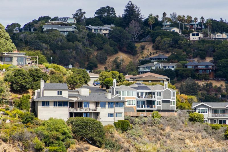 Modern houses on a hillside surrounded by lush greenery, featuring contemporary urban residential architecture.